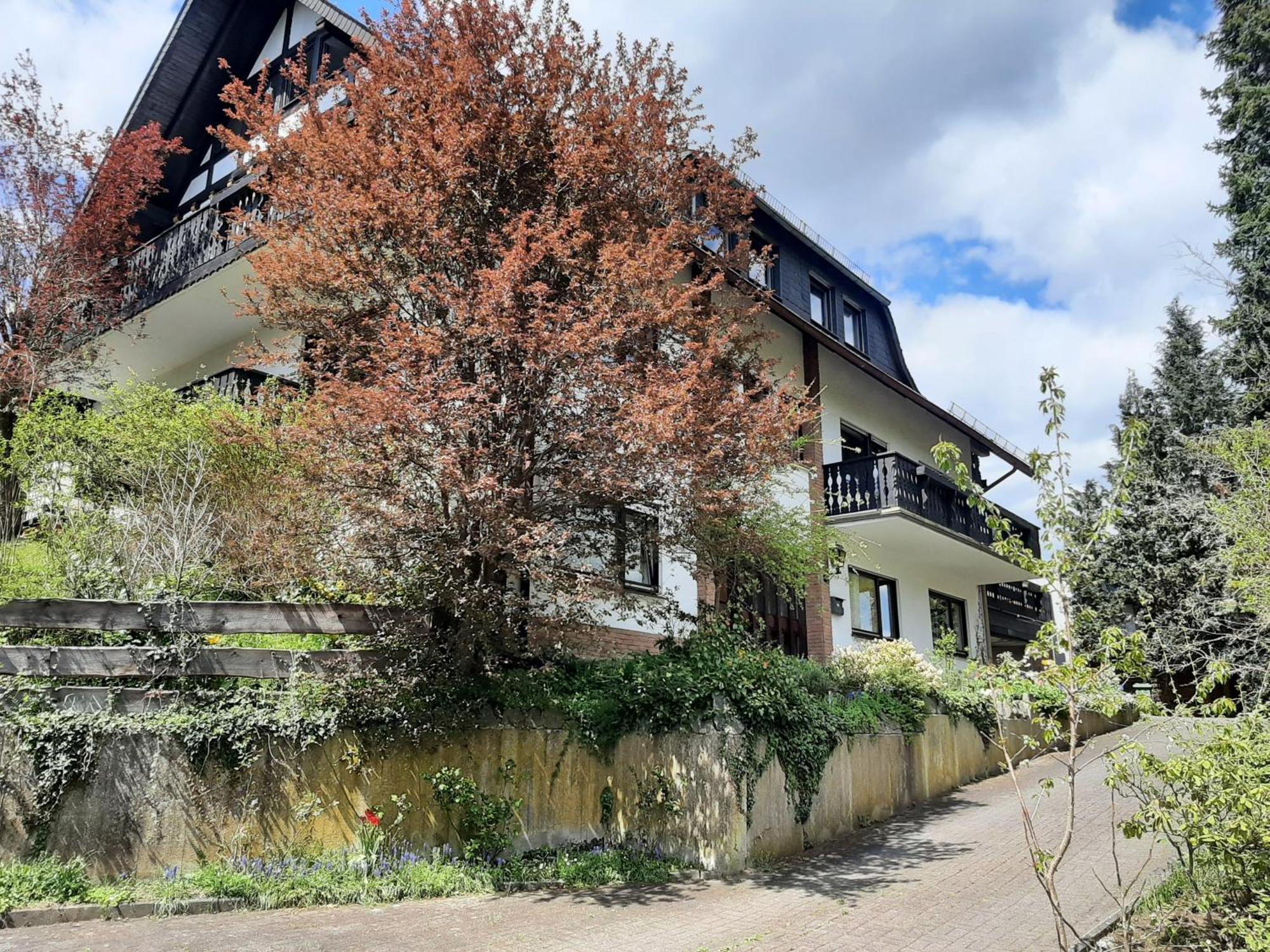 Ferienwohnung Bergblick - a63503 Hallenberg Exterior foto